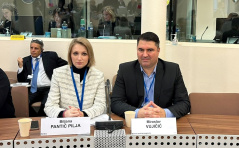11. децембар 2024. Шеф делегације Народне скупштине Биљана Пантић Пиља на састанку Комитета за политичка питања и демократију ПС СЕ